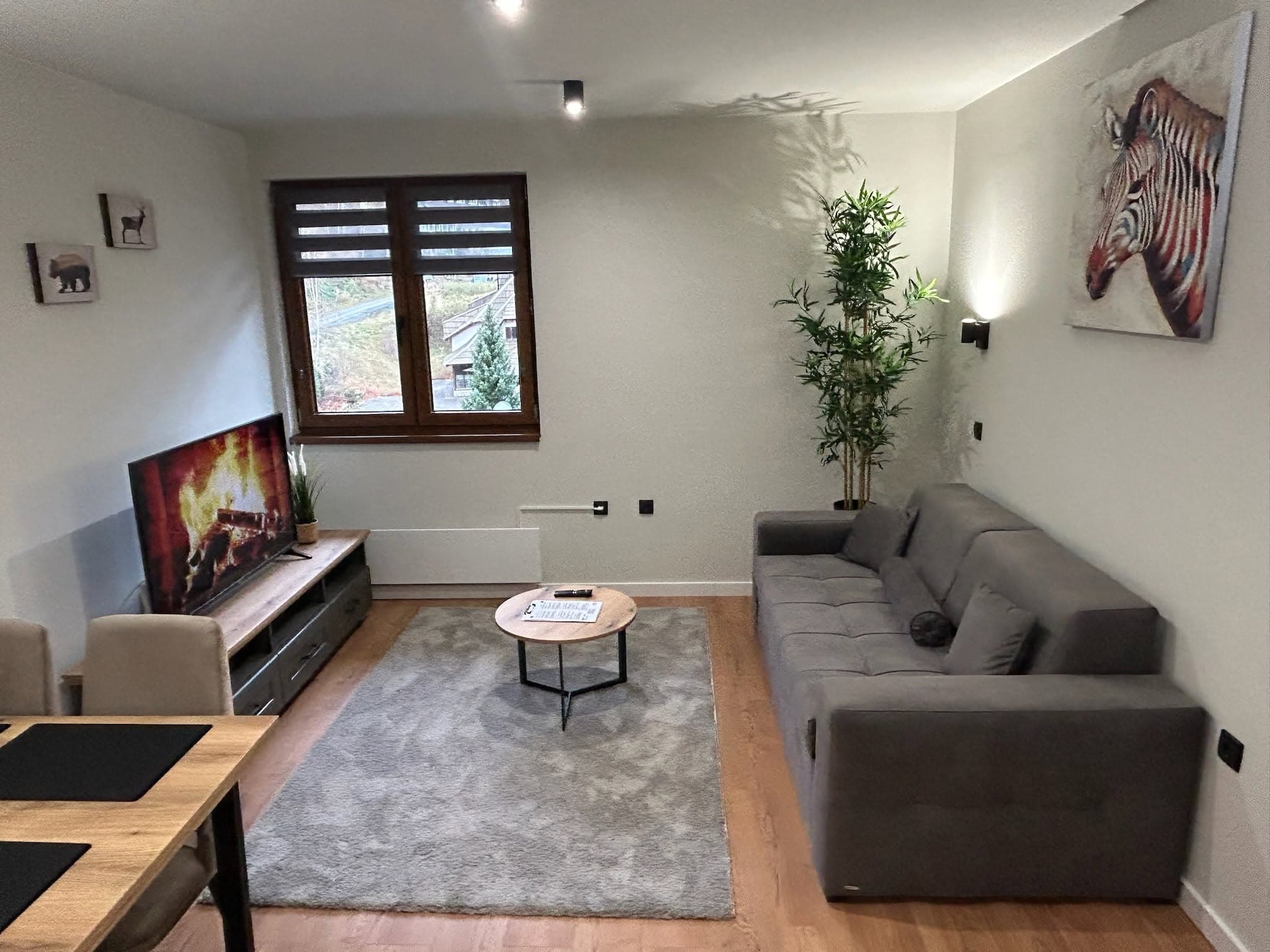 Living room with sofa, coffee table, television and a view through the window