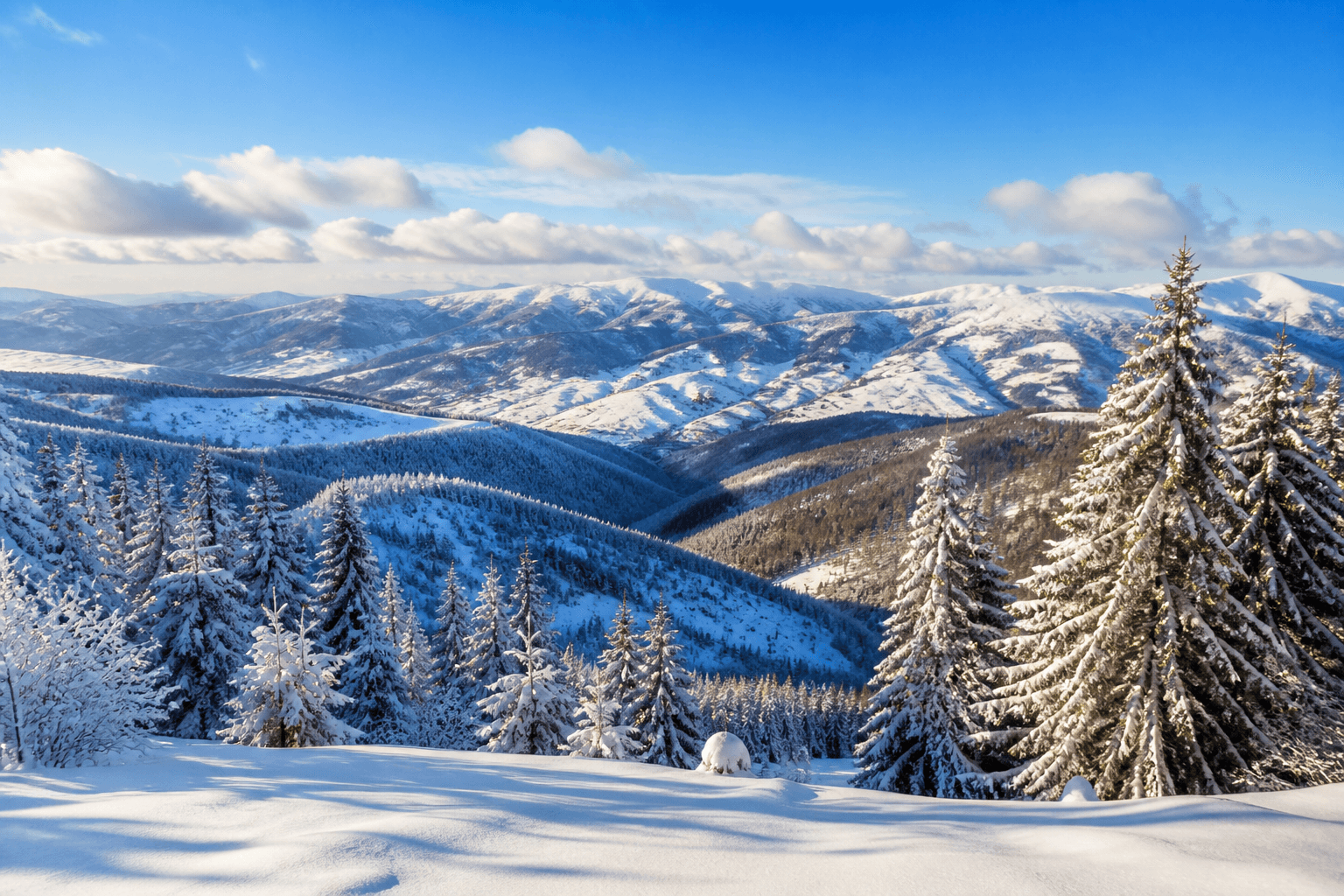 Pančićev Peak on Kopaonik in winter — mountain, ski runs and snow-laden spruces